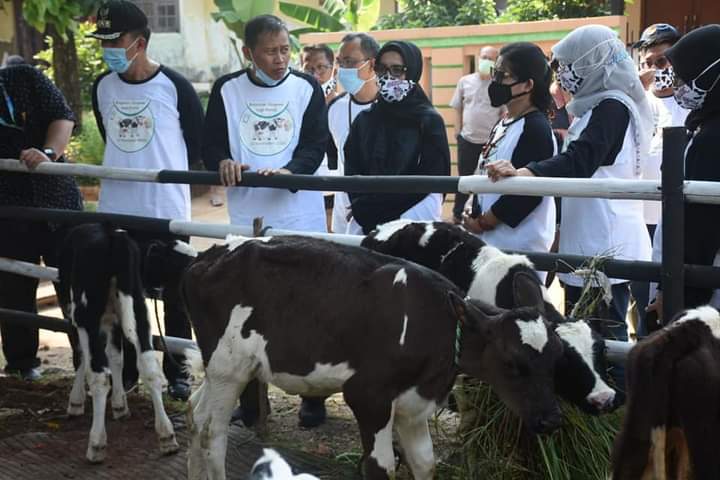 foto ; Dokumen Kementan RI