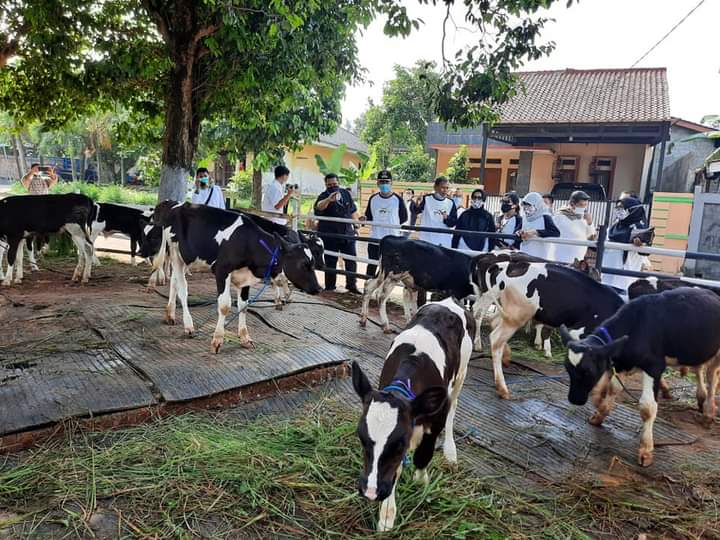 Foto: Dokumentasi Kementan RI