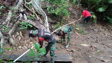 Pipa Di Kampung Tola