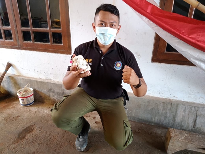 Petugas Damkar Banyuwangi tunjukkan puluhan butir telur ular