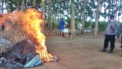 Sebagian BB yang dibakar polisi di TKP