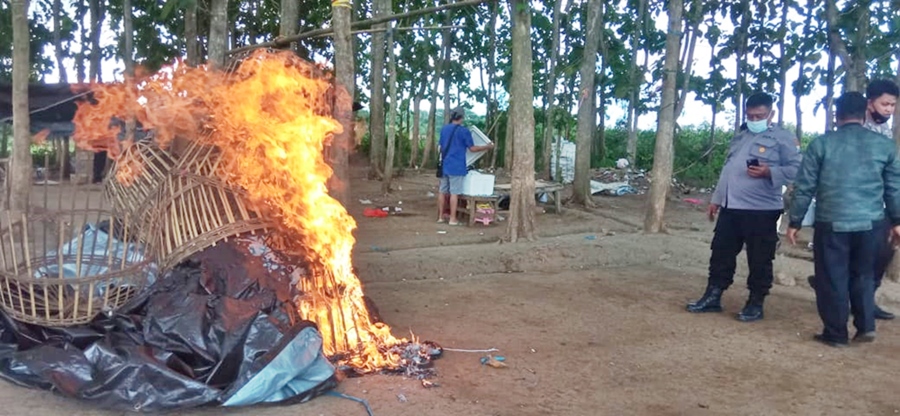 Sebagian BB yang dibakar polisi di TKP