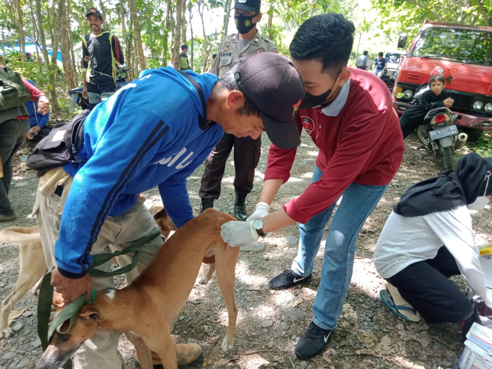 Proses vaksinasi