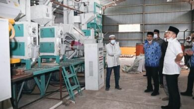Bupati Batubara Ir. Zahir saat meinjau Kilang Padi Tunas Muda di Desa Air Hitam Kecamatan Datuk Lima Puluh. (Doc: FTR/01)