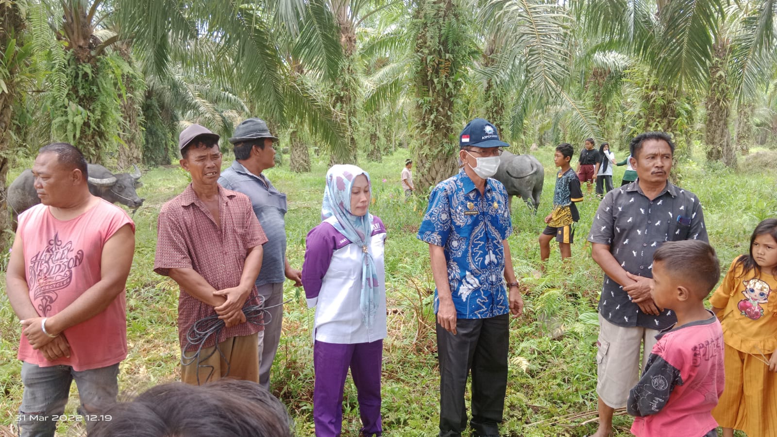 Kepala Dinas Perikanan dan Peternakan Kabupaten Batubara Antoni Ritonga, SP di dampingi Kepala Bidang Peternakan dan Kesehatan Hewan drh, Emmy Oftini, MM saat melakukan pemeriksaan kesehatan hewan yang akan dipotong pada pelaksanaan Punggahan.